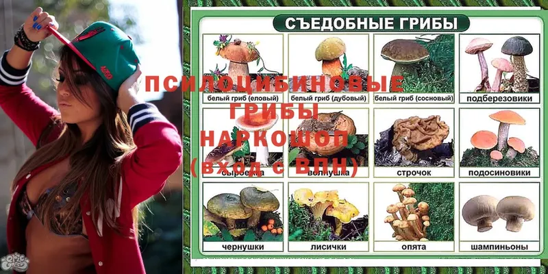 Галлюциногенные грибы мицелий  купить   Белокуриха 